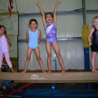 Providing Fun and Fitness we offer gymnastics summer camps.